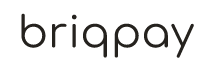 Kundcase 6 Briqpay logo